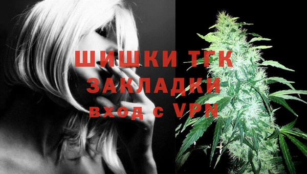 винт Надым