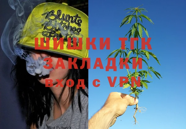 винт Надым