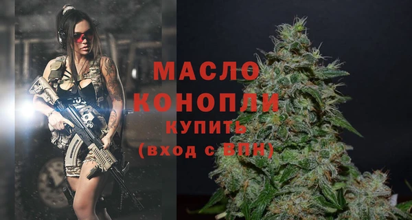 гидра Наволоки