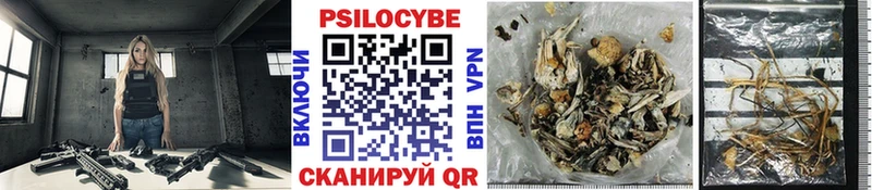 Псилоцибиновые грибы Magic Shrooms  Ялта 